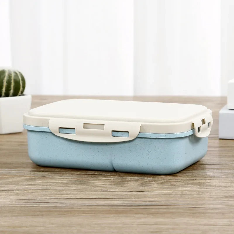 Lunchbox mit Fächern – Bento-Box für Schule, Büro & Kantine – 20x15x6 cm