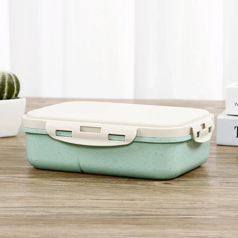 Lunchbox mit Fächern – Bento-Box für Schule, Büro & Kantine – 20x15x6 cm