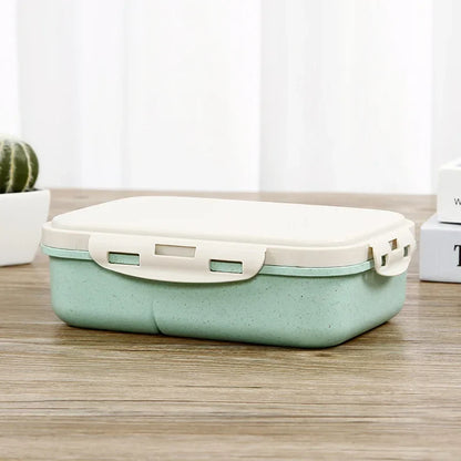 Lunchbox mit Fächern – Bento-Box für Schule, Büro & Kantine – 20x15x6 cm